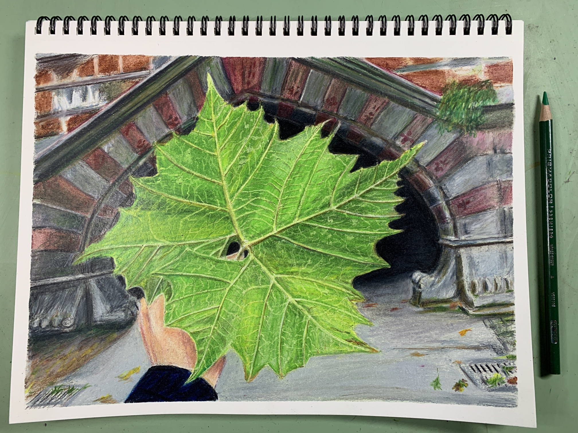 Big Leaf