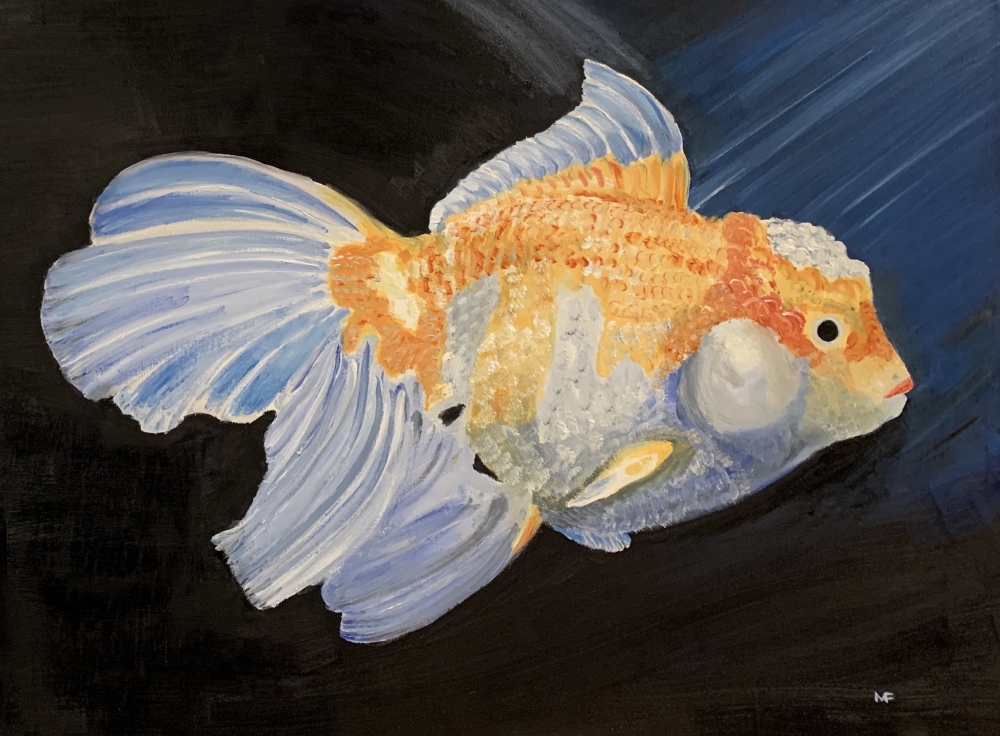 Goldfish